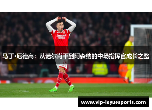 马丁·厄德高：从诺尔肖平到阿森纳的中场指挥官成长之路