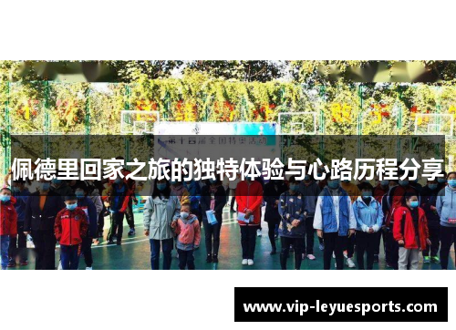 佩德里回家之旅的独特体验与心路历程分享