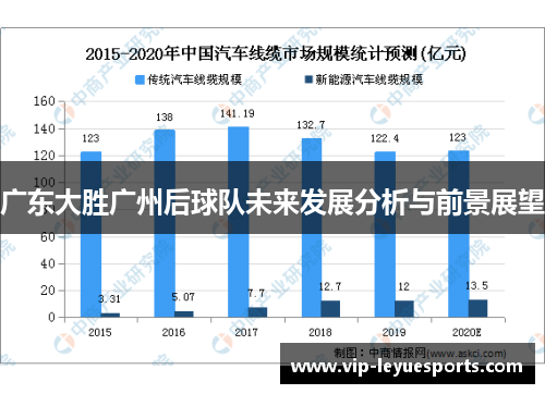 广东大胜广州后球队未来发展分析与前景展望