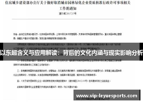 以东超含义与应用解读：背后的文化内涵与现实影响分析