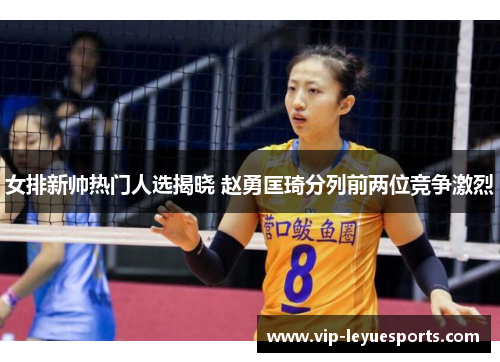 女排新帅热门人选揭晓 赵勇匡琦分列前两位竞争激烈